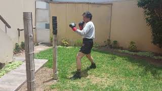 Destrucción de la guardia contra puños rectos en Muay Thai 3 11 2025