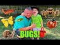 KIDS BUG HUNT! Caleb and Daddy Play and Find REAL BUGS Outside!