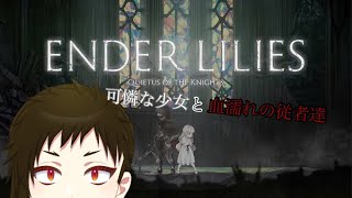 【Vtuber】可憐な少女と血濡れの従者たち #8【2Dアクション】