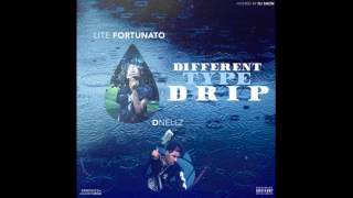 Dnellz & Lite Fortunato — For The Low