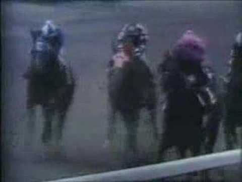 Bold Forbes - 1976 Kentucky Derby