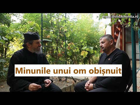 Minuni ale Maicii Domnului trăite de un om obișnuit: - Dorel Codrea, p. Teologos