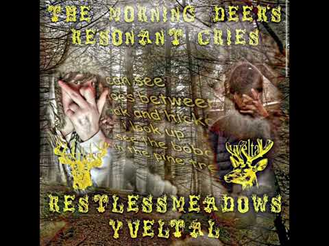 Restless Meadows - The Morning Deer’s Resonant Cries (ft. Yveltal)