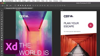 How To Open Your PSD Files In Adobe XD | Adobe Creative Cloud