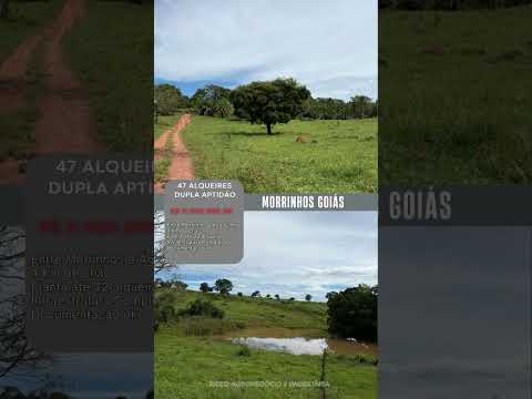 Fazenda em Morrinhos / Whatsapp 62 99373-6407