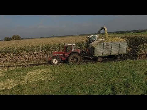 Maishäckseln im Moor 2017 |Claas Jaguar 860 |John Deere | IHC |Deutz |Eurotrans