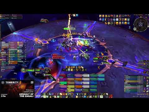 Temerity vs. Heroic Scalecommander Sarkareth  - Holy Priest PoV