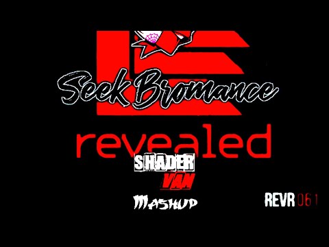 Tim Berg vs Hardwell,Dyro ft Bright Lights - Seek Bromance vs Never SayGoodbye (SHADER VAN - Mashup)