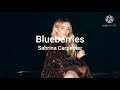 Sabrina Carpenter Blueberries From Disney Original Movie Clouds Lyric Video