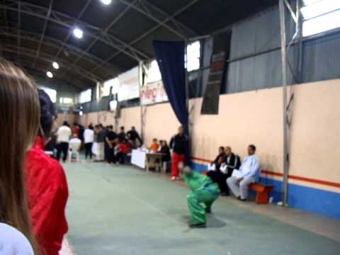 wushu - elementary Changquan Routine 3