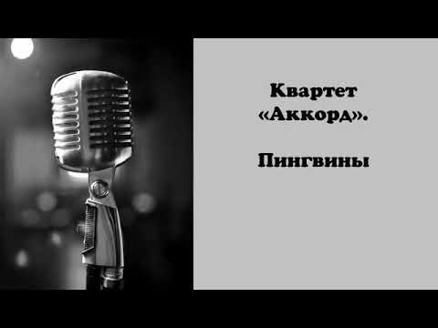 Квартет Аккорд. Пингвины