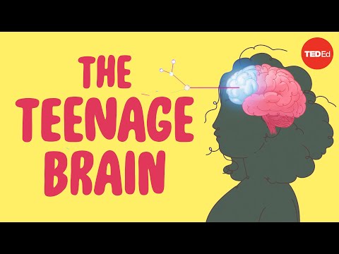 What Puberty Does to Your Brain