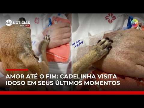 Idoso morre horas após receber visita da cadelinha em hospital | #SBTNotícias