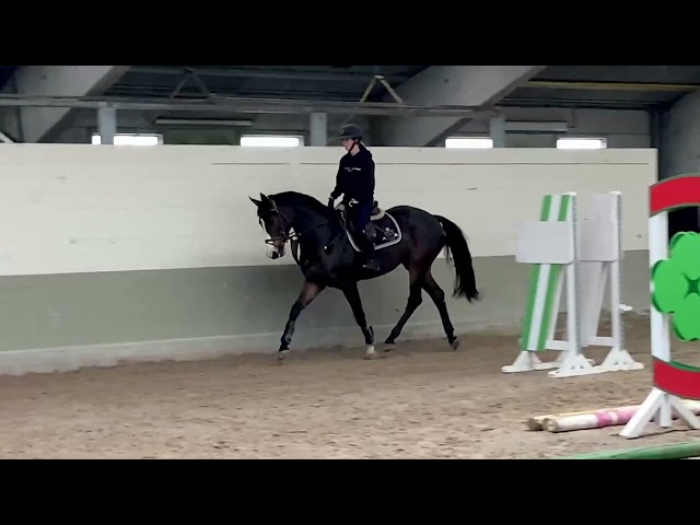 jumping under the saddle