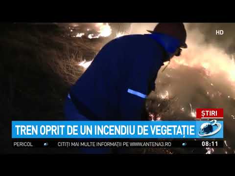 Un tren care se îndrepta spre Movileni, nevoit să oprească din cauza unui incendiu de vegetație