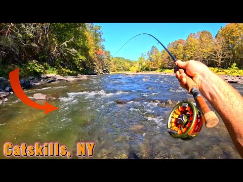 *NEW RECORD* Giant Brown Trout Caught In Low Water | Catskill Fly Fishing