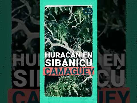 Huracán Melissa: Se reportan rachas fuertes de viento en Sibanicú, Camagüey