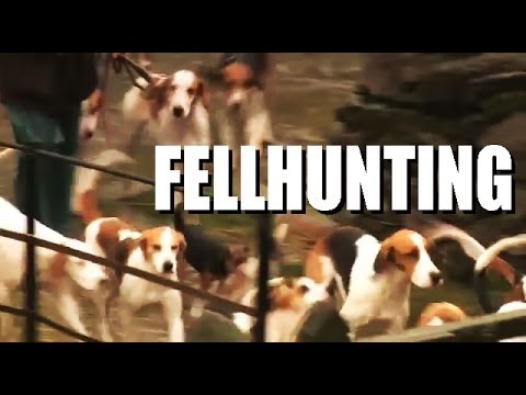 Fellhunting with the Coniston Foxhounds Fellhunting with the Coniston Foxhounds