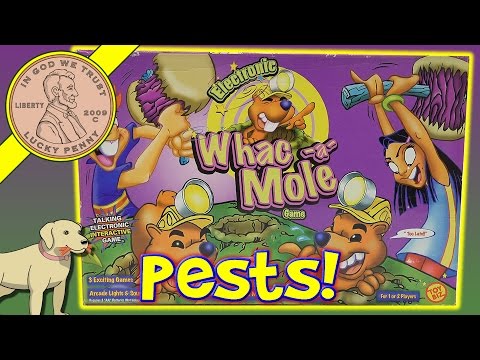 How To Play The Game Electronic Whac-a-Mole Family Game - Time To Whac Some Moles!