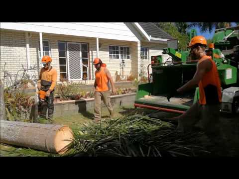 Three Men Take Down Cuban Royal