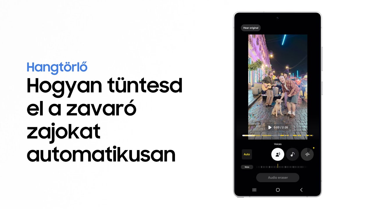 Audio eraser