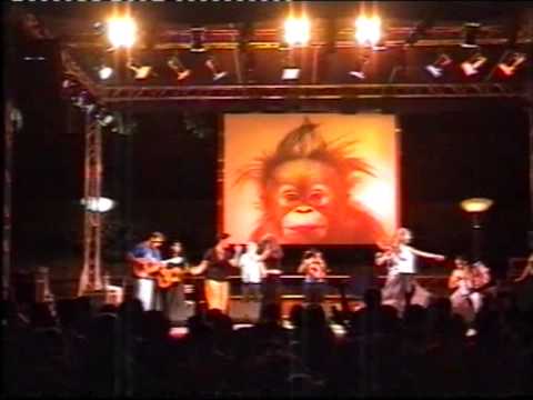 IL GRANDE PINO ZIMBA E ZIMBARIE A NEGRO PERTOSA  SA 2005 1