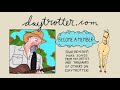 The Gourds - Drop What I'm Doing - Daytrotter Session
