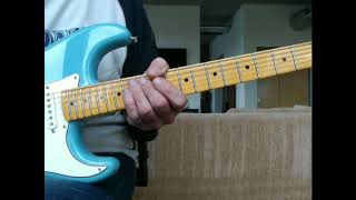 Lynyrd Skynyrd I Ain't the One Allen Collins