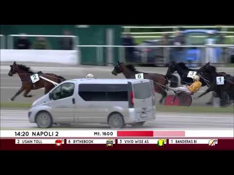 Grand Premio Lotteria 2023 Elimination Heat 1 - Usain Töll