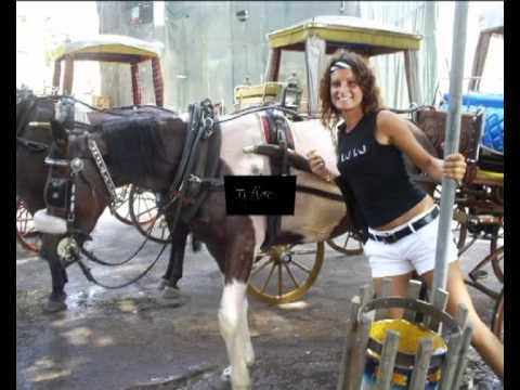 quanto amore c.è.avi