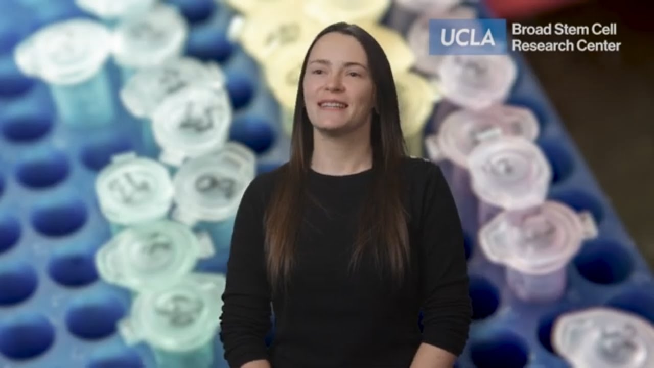 Developing stem cell-based embryo models to identify the causes of infertility | Amanda Collier, PhD