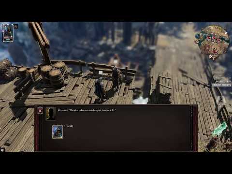 Divinity Original Sin 2 Definitive Edition on Solo/Summoner/Tactician! Act 2 (Part 10)