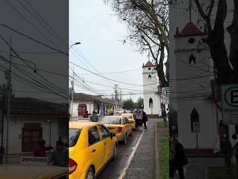 Sin palabras | Yerbas Buenas, Región del Maule, Chile.