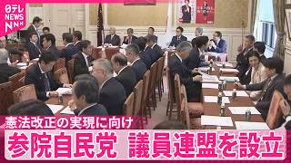 【参院自民党】憲法改正の実現に向け議員連盟を設立