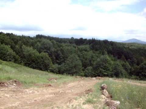 frumusetile satului Calugari comuna Carpinet judetul Bihor