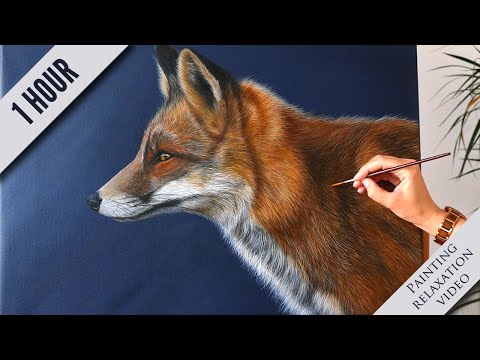 1 hr Painting a Fox in Acrylic | Relaxation & Calming Painting Video | Zen Meditation Painting