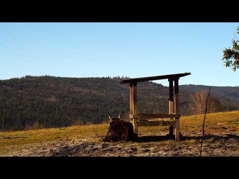 Nationalparkzentrum Falkenstein 2019