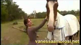 Vanessa Amorosi on Talk With The Animals