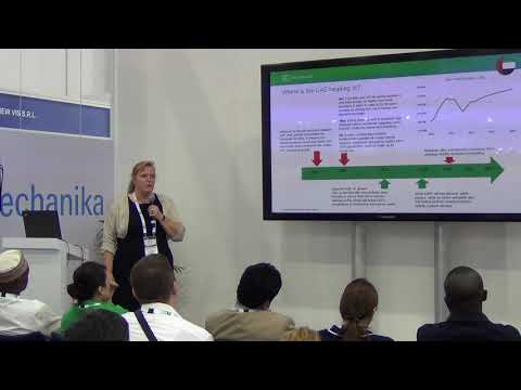 Sandra Engelhard Senior Analyst, Light Vehicle Sales Forecasting, IHS Markit