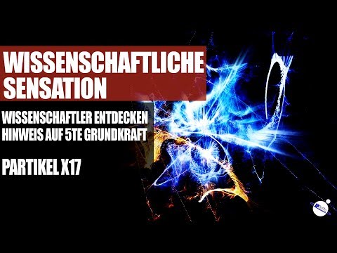 Scientific sensation - Evidence of the fifth fundamental force - Particle X17