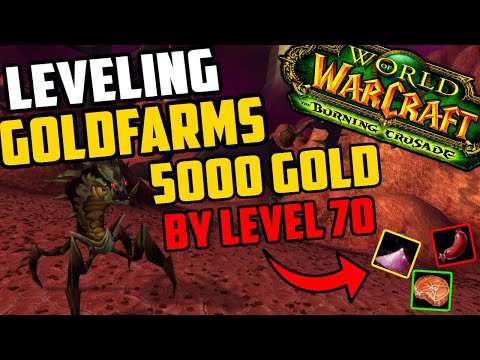 Goldfarms To Do While Leveling in TBC Classic