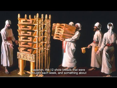 Emor (Lag Baomer) 2021