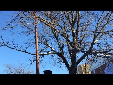 Joe Pagonakis banned from Beverly Terrace Apartments