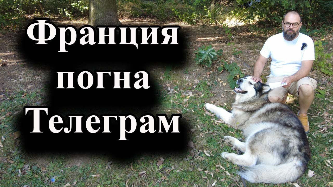 Павел Дуров бе арестуван в Париж – 25.08.2024 г.