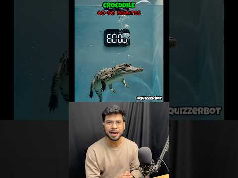 How Long Animals Survive Underwater? 🐻😱