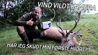 Download the video "VIND LIVE PANORAMA KAMERA!!!! // NATURNØRD 695"