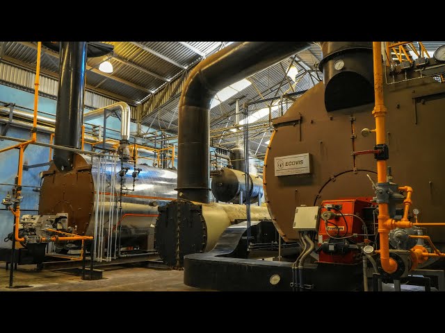 imagen-video-thefoodtech