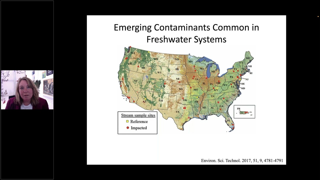 1/11/22: Rebecca Klaper, Building the environmental science toolbox to address...
