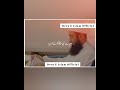 Kisi Ko Bura Kehna Moulana Tareeq Jameel Sab DB Whatsapp Status Short Video Short Clip MTJ