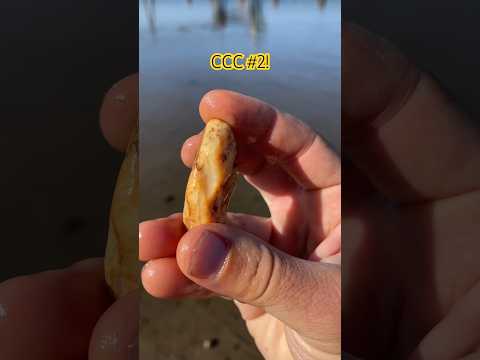 CCC #2. #Oregon #explore #nature #find #rock #agate #pnw #fyp #crystal